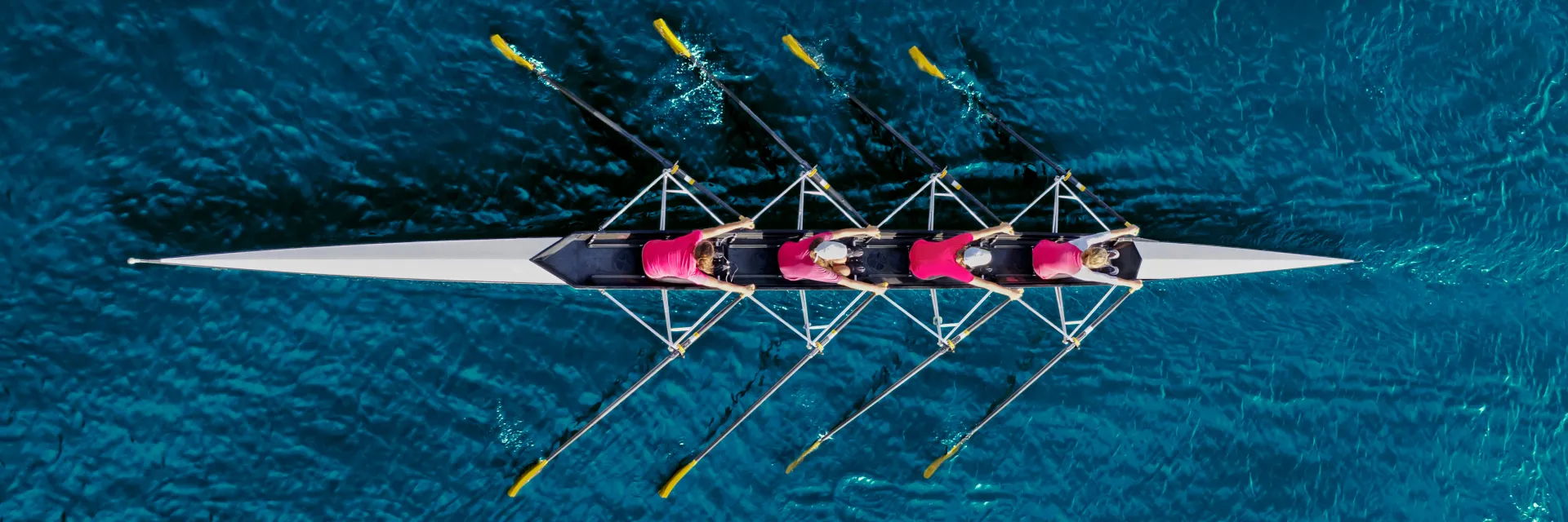 Reconocimiento y alianzas