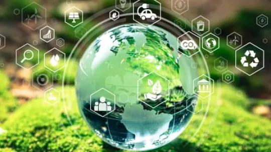 Card MBA Sostenibilidad