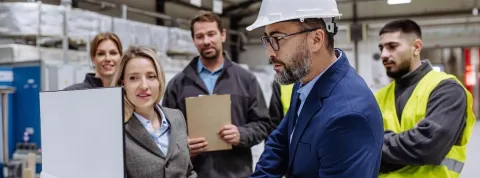 director de logistica