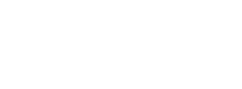 Logo partner academico claro